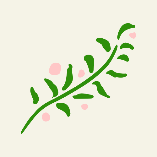 mimosa vitalité féminine flourishinstorm.jpg