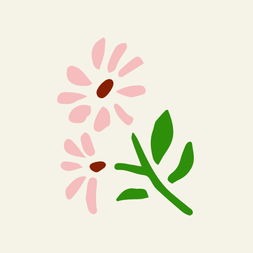 cosmos vitalité féminine flourishinstorm.jpg