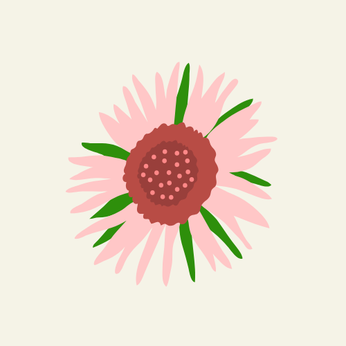 tournesol vitalité féminine flourishinstorm.jpg